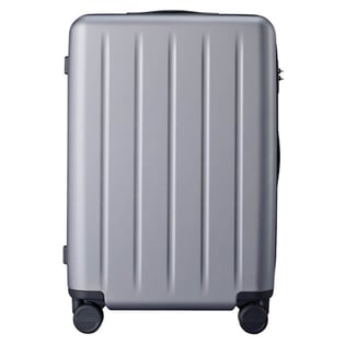 Ninetygo Danube Luggage 28" Grey (120701)